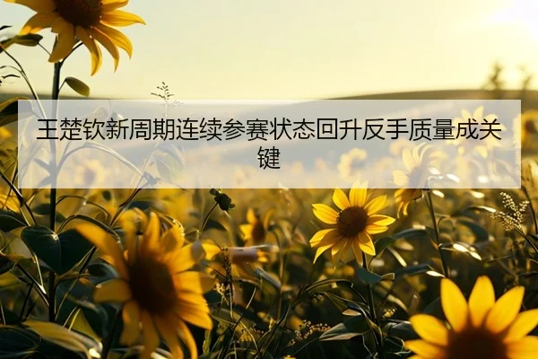王楚钦新周期连续参赛状态回升反手质量成关键 | hth.com
